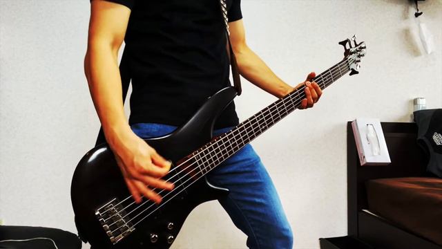 Bring Me The Horizon - Parasite Eve    Bass Cover