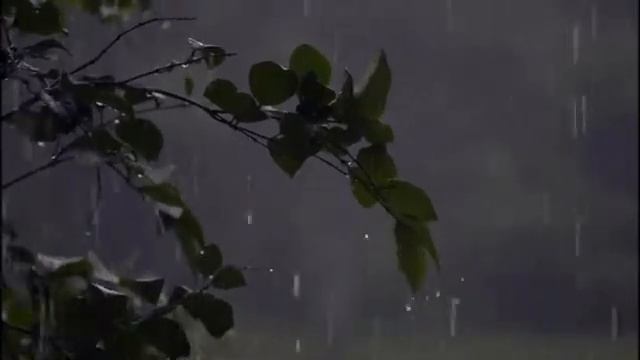 самая грустная мелодия смотреть онлайн