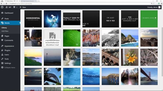 WordPress Theme Development tools - Theme Unit Test Data смотреть онлайн
