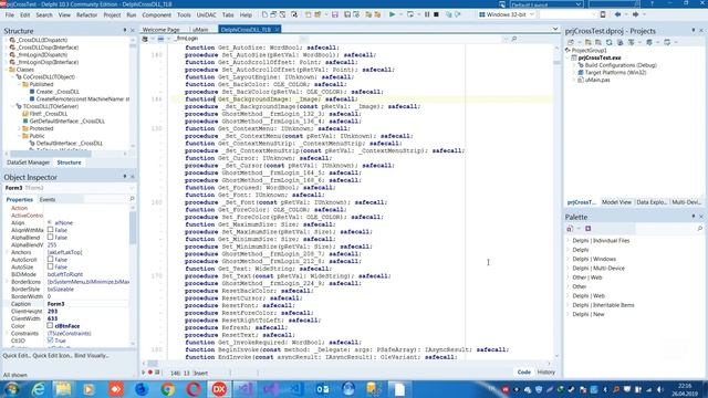 How to Call .Net DLL from Delphi | Delphi ile .Net Dll Çağırma смотреть онлайн