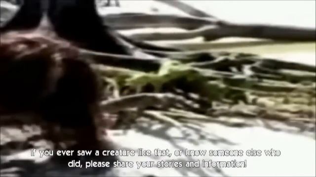 Видео - Русалки существуют смотреть онлайн