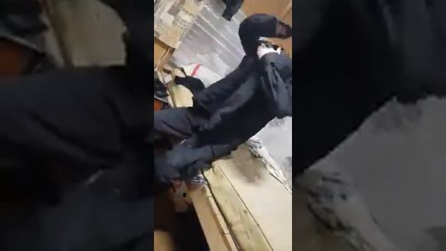 Чоп поймал белочка))) смотреть онлайн