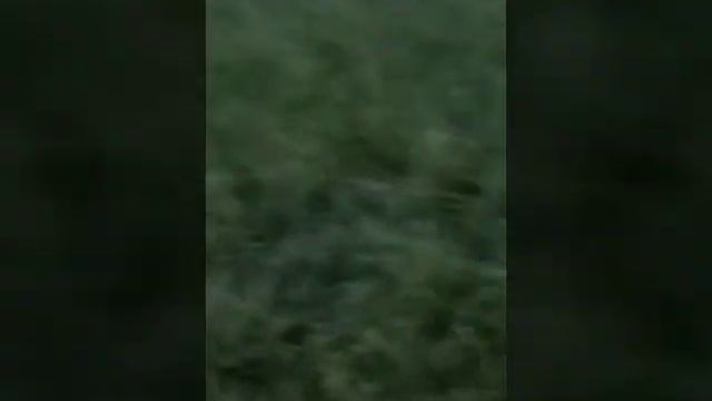 Луна над озером смотреть онлайн