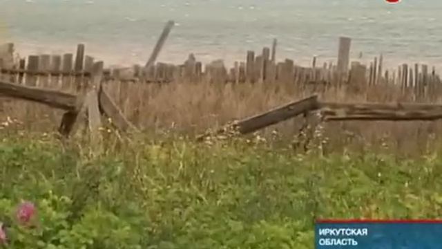 В российских регионах нашествие голодных медведей смотреть онлайн