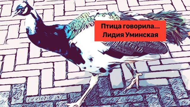 Птица говорила… Христианский стих смотреть онлайн