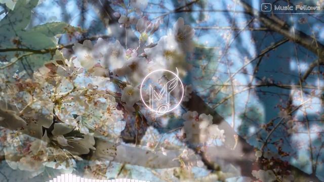 HAPPY PIANO MUSIC ? Spring Blossom [NO COPYRIGHT MUSIC] смотреть онлайн