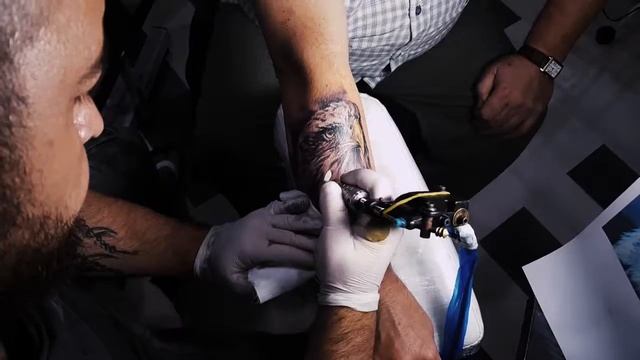 TSA Tattoo Art Club. Ястреб смотреть онлайн