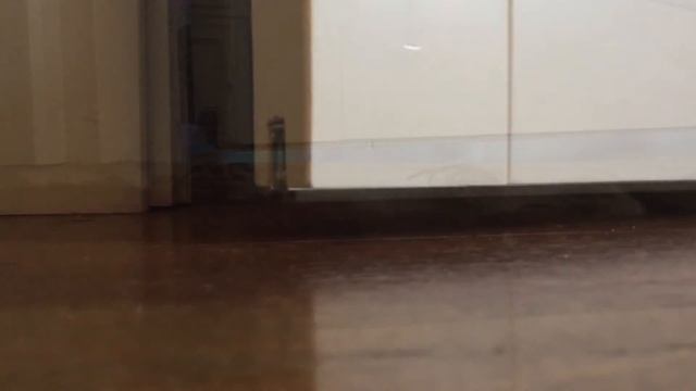 Работа гильотинного порога смотреть онлайн