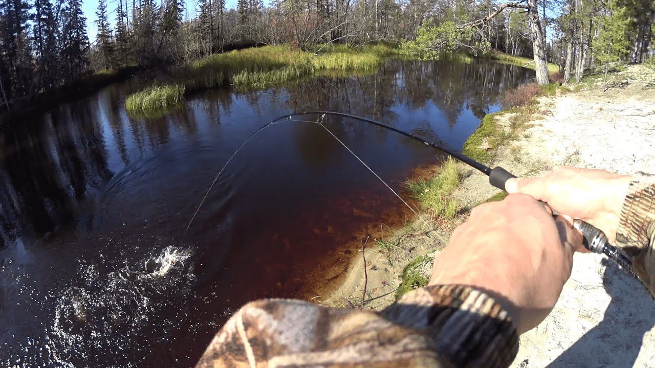 Рыбалка на красивой северной реке. Захотелось щуки жаренной)) смотреть онлайн