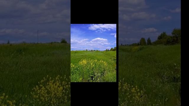 Луг и голос коростеля ? смотреть онлайн