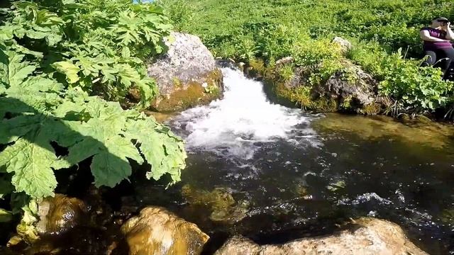 Кавказский биосферный заповедник. Озеро Псенодах смотреть онлайн