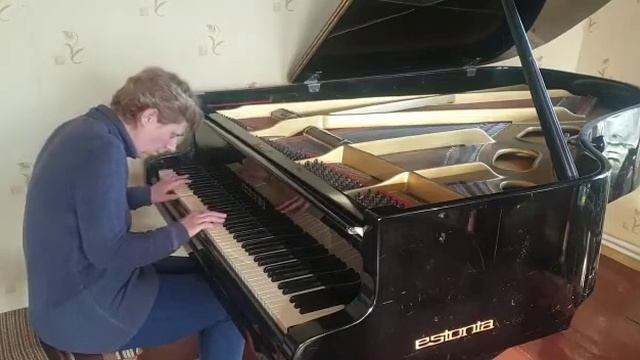 Й.Гайдн.Анданте.(из симфонии "Сюрприз").(4 класс.) смотреть онлайн