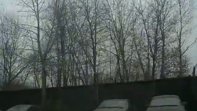 Череповец...картина маслом смотреть онлайн