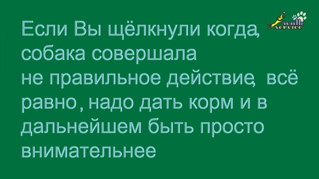 Кликер, учим щенка брать палочку СПОКОЙНО смотреть онлайн