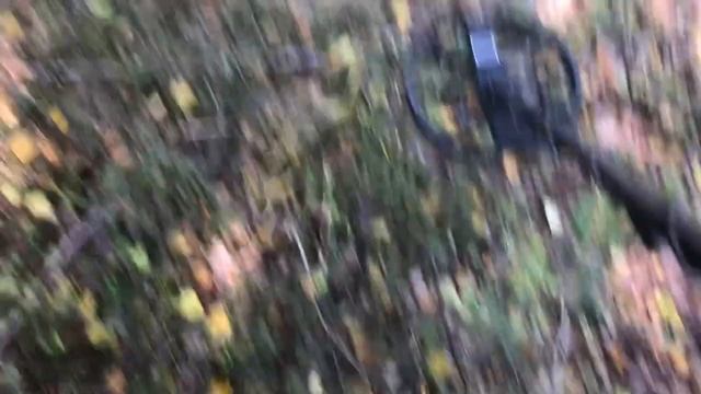 МНОГО ВЕРХОВОГО МЕТАЛЛА. БОЛОТНЫЕ ТРАКИ, КАТКИ. МЕТАЛЛОКОП НА ТОРФЯНИКАХ. НАШЛИ НЕКОПАННОЕ МЕСТО. смотреть онлайн