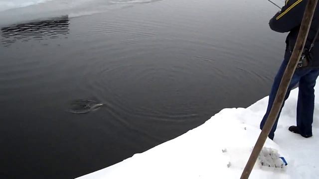 Подсак.flv смотреть онлайн