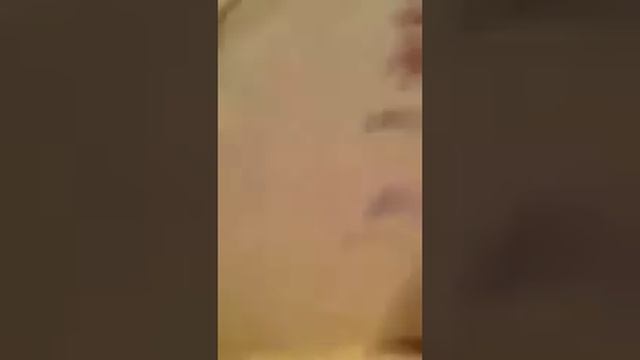 Как Ролли бегает за медвежонком смотреть онлайн