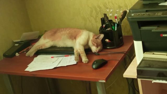 4 августа 2022 г. смотреть онлайн