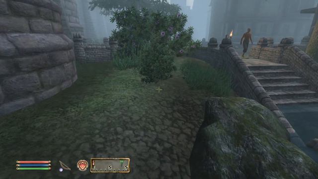 Oblivion #6: Chugging Skooma смотреть онлайн