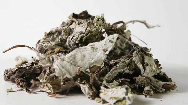 Мать и мачеха смотреть онлайн