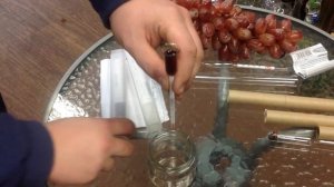 Видео обзор виномеры, спиртометры и сахарометры для вина