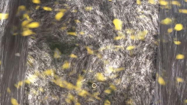 Pacman Vs Pirate Pacman (Level 19 : Fortress Island) смотреть онлайн