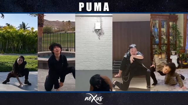 "Puma" by TXT performed by neXus Dance Collective смотреть онлайн