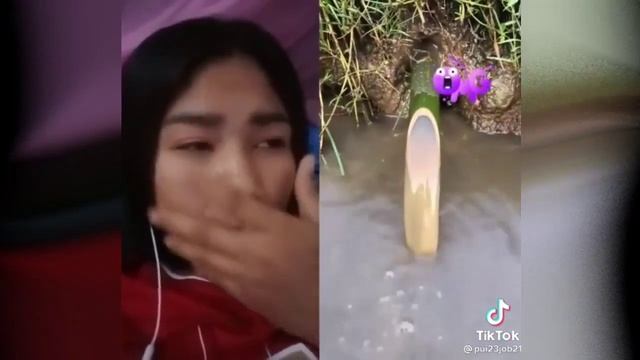 Bamboo Pull Reaction (Reaksi dorong bambu) Tiktok Viral смотреть онлайн