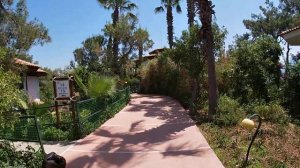 letoonia club & hotel (Фетхие. Турция.) Лифт на верхнюю улицу