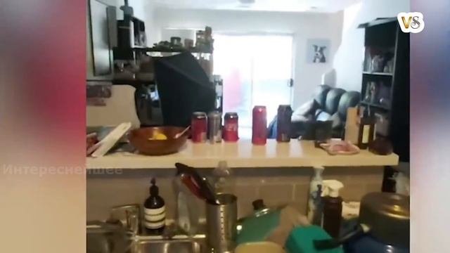 ИЗ МОГИЛЫ ВЫШЛА СУЩНОСТЬ НА КЛАДБИЩЕ. #МИСТИКА смотреть онлайн