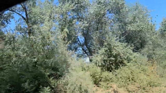 ПРИРОДА УЗБЕКИСТАНА. ХОРЕЗМ