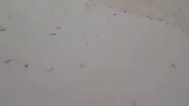 Мексика. Побережье Карибского моря. смотреть онлайн
