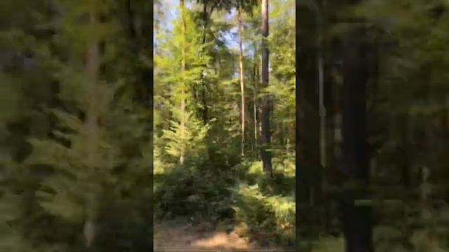 Wissembourg - France’ a giderken смотреть онлайн