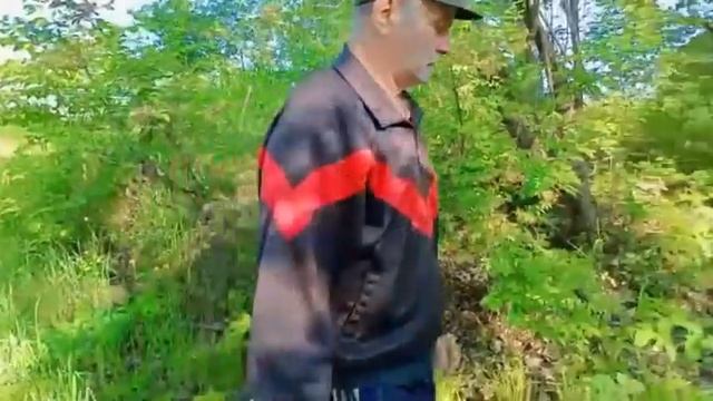 (#416) 10.06.22 Приморское лето! Распиловка Маньчжурского ореха! (часть1) смотреть онлайн