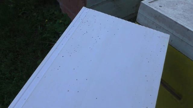 Лесные Друзья