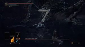 Dark Souls 3 - Проклятое Великое древо (вор, нож бандита)