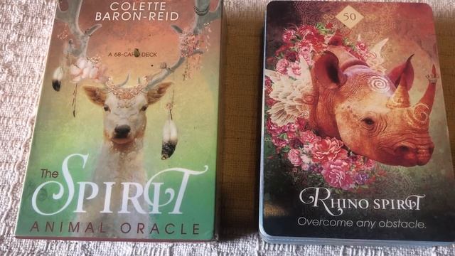 The Animal Spirit Oracle 50/68 Rhino guide book audio description смотреть онлайн