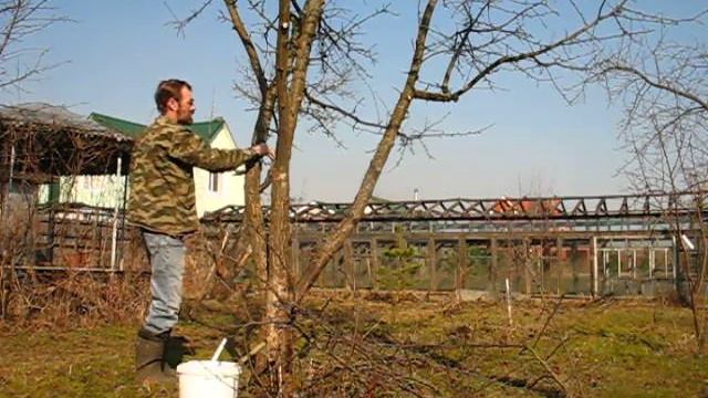 Садовник - работа в саду весной смотреть онлайн