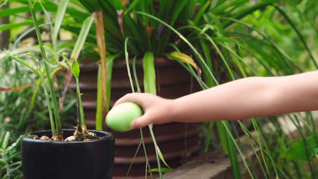 Hanna Andersson commercial - Spring 2019 смотреть онлайн