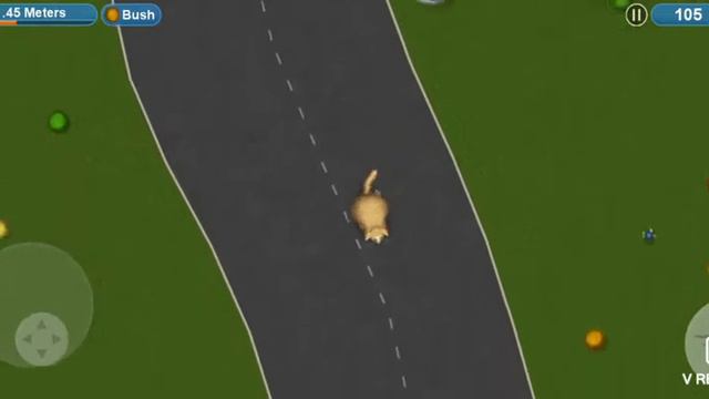 Бешеные кот естшто угодна