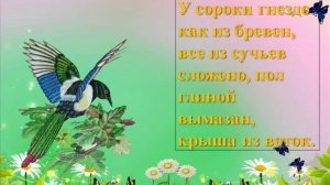 Презентация для детей "День птиц"