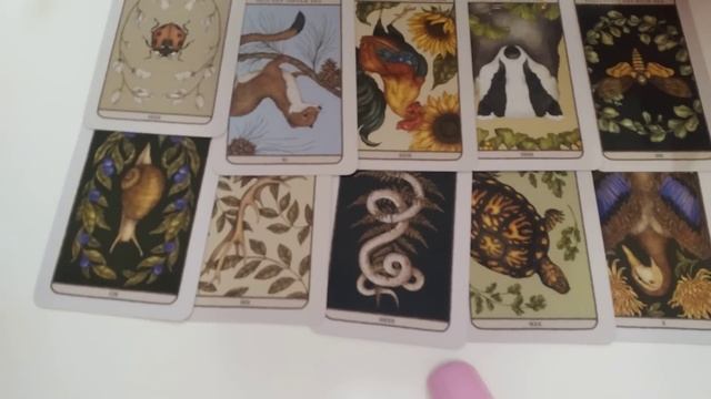 LEO♌Quiere de tu amor, eres su estrella, cree que si te da estabilidad le aceptes de nuevo смотреть онлайн