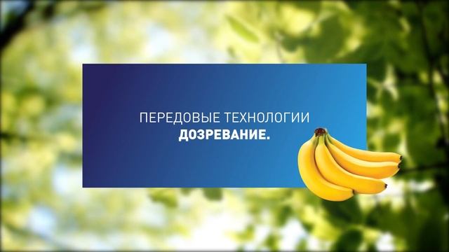 ОТКРОЙТЕ ПУТЕШЕСТВИЕ / RUS / ОХЛАЖДЕНИЕ / EHO d o o , Slovenija смотреть онлайн