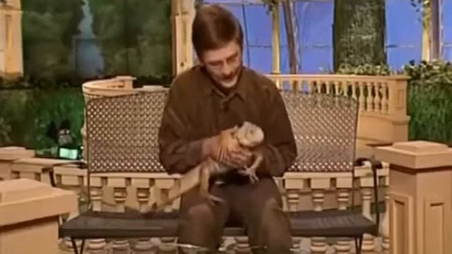Маргинал ЖЁСТКО про игуан смотреть онлайн
