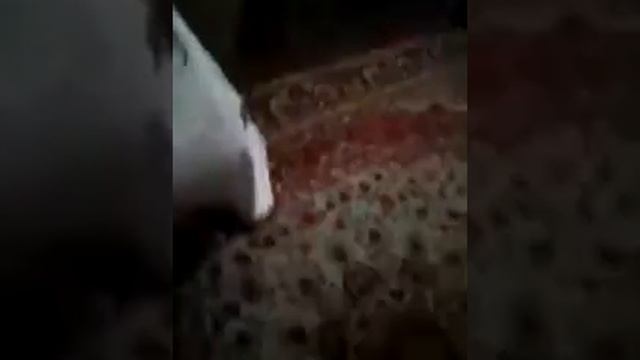 Пытаюсь-попасть-в-ворота смотреть онлайн