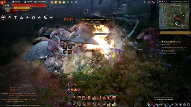 BlackDesert 63 лвл возможен для простых людей?