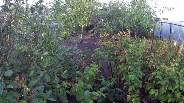 Строительная Честность