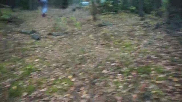Жуткий ор в лесу смотреть онлайн