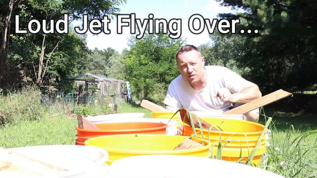 HOW TO KEEP BEES AWAY FROM THE POOL/GETTING RID OF ANTS IN THE HIVE смотреть онлайн