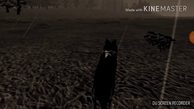 Волк-одиночка|wildcraft|истории_wildcraft смотреть онлайн